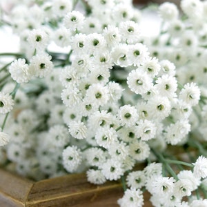 FiveSeasonStuff 6 Stems 69cm Floral White Baby’s Breath Artificial Flowers Baby’s Breath Gypsophila Tall Long Stems
