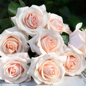 Rose Champagne Pink Real Touch Roses Silk Artificial Flowers ‘Petals Feel and Look like Fresh Roses&#39; 10 Stems - FiveSeasonStuff Floral