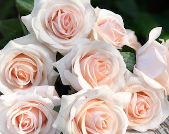 Rose Champagne Pink Real Touch Roses Silk Artificial Flowers ‘Petals Feel and Look like Fresh Roses&#39; 10 Stems - FiveSeasonStuff Floral