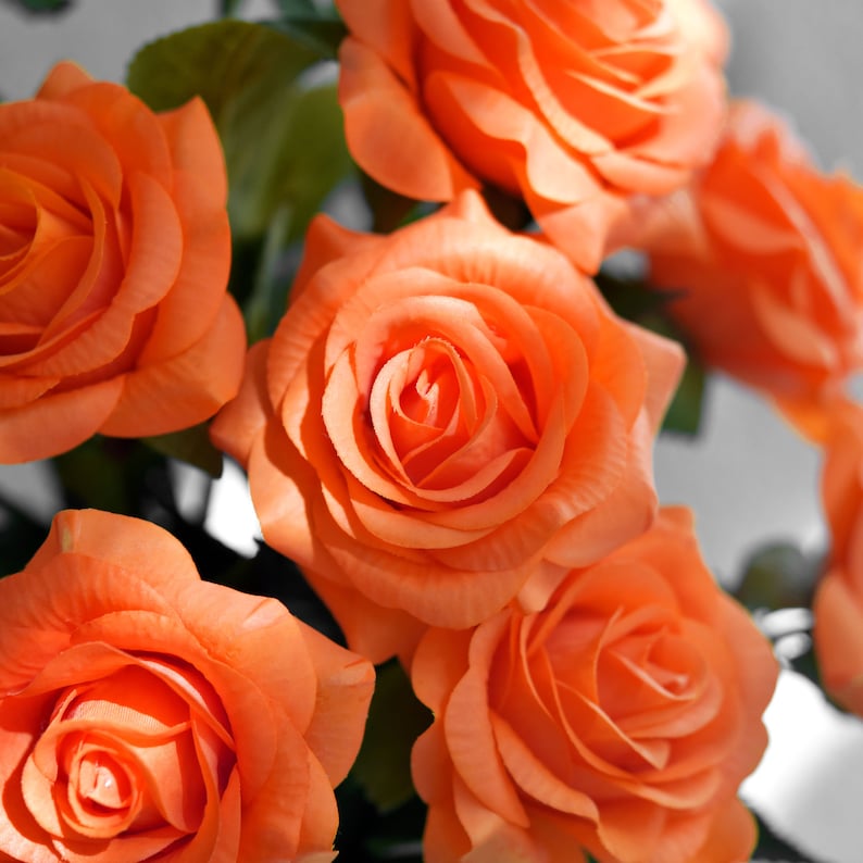 10 Stems Real Touch Burnt Orange Roses Silk Artificial Flowers Etsy