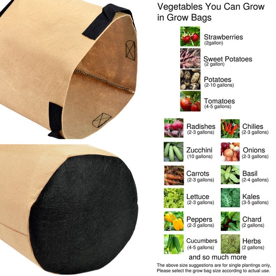 Vegetable Growing Bag - 3 Pack