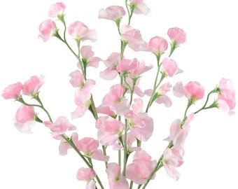 Tallos de guisantes de olor rosa claro, flores de seda realistas, decoración para el hogar (6 tallos)