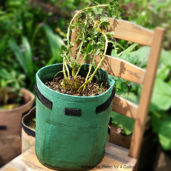 12 Sacchetti Coltivazione In Tessuto Non Tessuto 10 Galloni - Vasi Per Piante Con Manici, Traspiranti E Riutilizzabili Per Orto E Giardino, Nero - 4