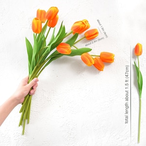 Hand holding vibrant orange artificial tulip stems with measurement details displayed.