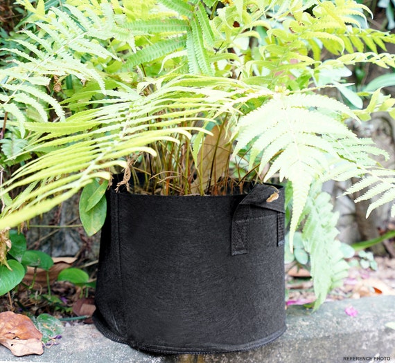 6 Pack 18 Gallons Grow Bags Healthy Smart Gardening Pots – FiveSeasonStuff