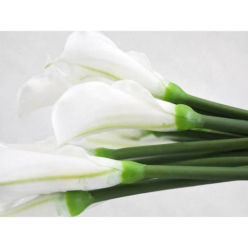 May include: A cluster of white calla lilies featuring smooth, trumpet-shaped petals with subtle green veining at the base. Each flower is attached to a long, slender, solid green stem, creating a clean and uniform appearance for the floral arrangement.