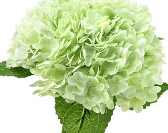 Real Touch Pale Green Hydrangea Stems | Floral Arrangement (2 Stems)