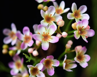 Blossom Pink Charm senza tempo Fiori di cera, fiori di seta artificiale a stelo lungo —FiveSeasonStuff Floral