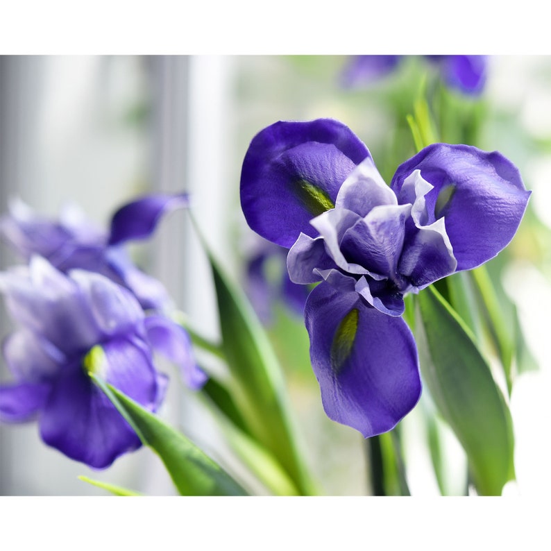 FiveSeasonStuff 6 Long Stems Iris Real Touch Artificial Flower Bouquet Flower Arrangement 23.6 Dark Purple image 2