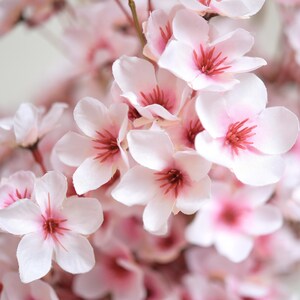 Lifelike Blush Pink Silk Cherry Blossom Stems, 1.3 ft image 3