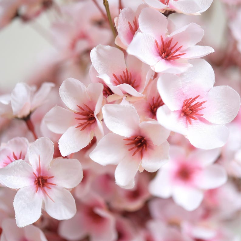 Lifelike Blush Pink Silk Cherry Blossom Stems, 1.3 ft image 3