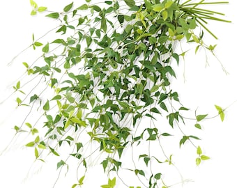Vielseitige dekorative Freude an üppigen Reben Elegante künstliche Seide Clematis Blätter für jeden Anlass Veranstaltung von FiveSeasonStuff Floral