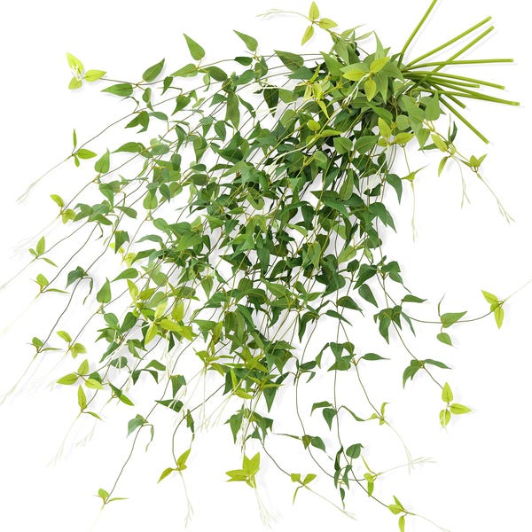 Kaskaden Clematis: Realistische Seiden-Ranken 7m