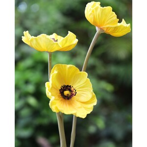 Puede incluir: Tres flores de amapola de seda amarillas con centros oscuros en tallos.