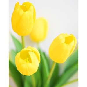 Real Touch Tulpen, künstliche Blumen mit langem Stiel - 12 künstliche Stiele Bild 19