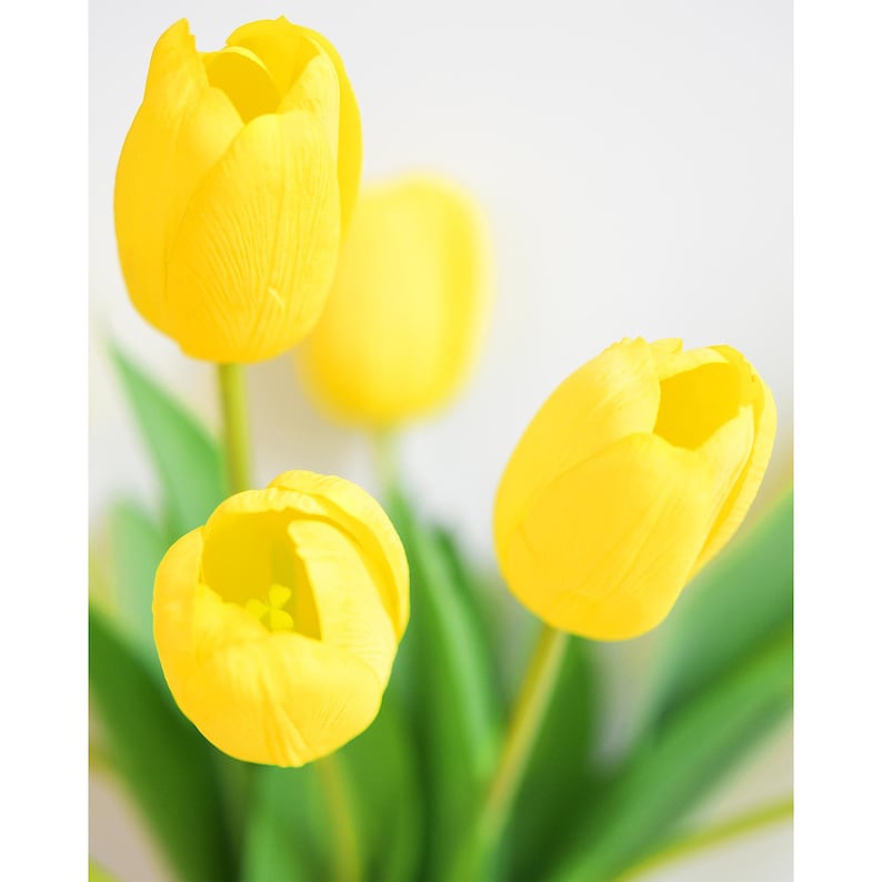 Real Touch Tulpen, künstliche Blumen mit langem Stiel - 12 künstliche Stiele Bild 19