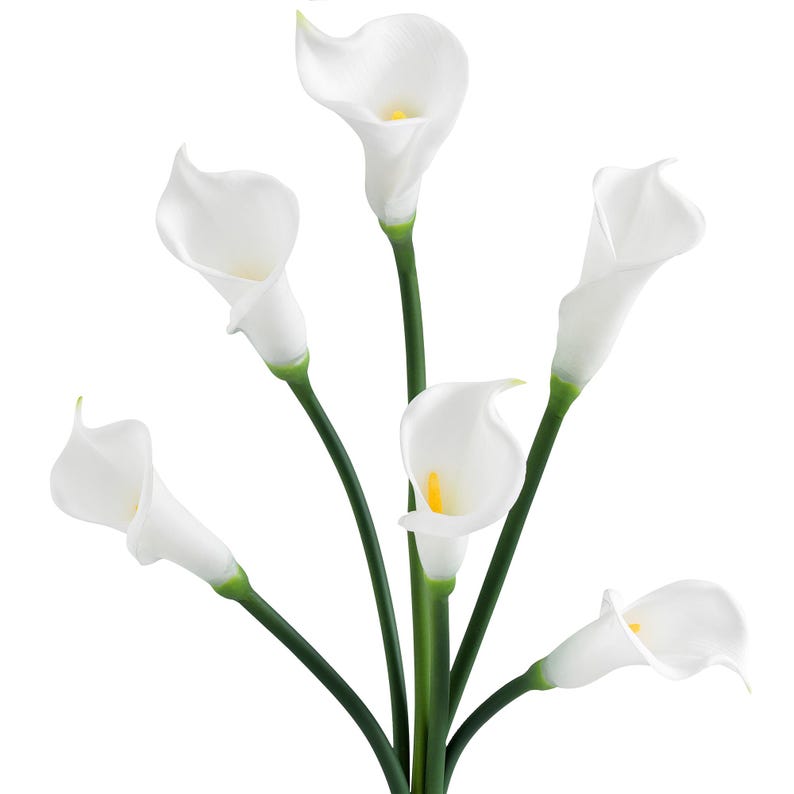 May include: A bouquet of six artificial calla lily flowers featuring smooth, white, trumpet-shaped petals and bright yellow spadices. Each flower is attached to a long, slender, dark green stem that converges at the base, creating a vertical arrangement.
