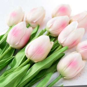May include: A bouquet of pink tulips with green stems and leaves. The tulips are arranged in a fan shape, with the tips of the flowers pointing towards the right side of the image.