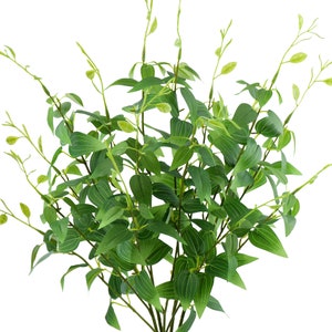 May include: A bunch of artificial green leafy plants with long stems and small leaves.