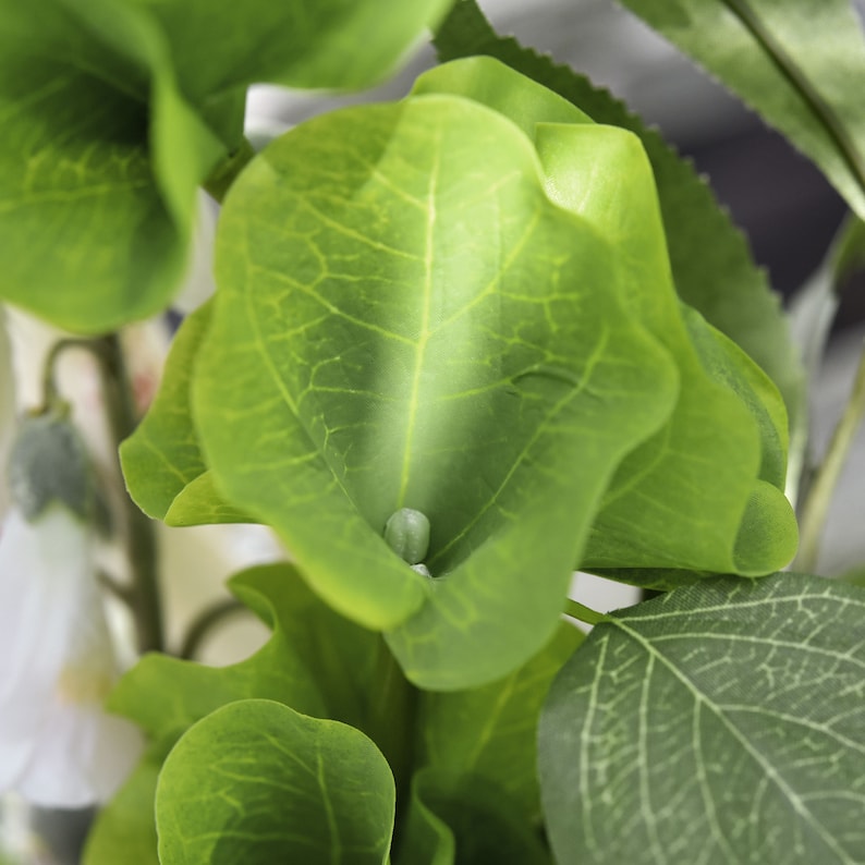 2 Stems of Artificial Bells of Ireland Flowers Filler Etsy