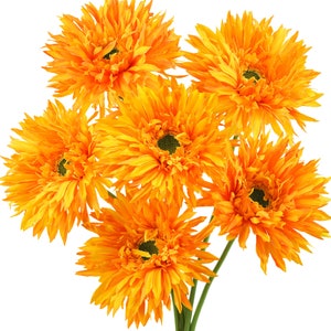 Bright Orange Spider Gerbera Daisies Silk Flowers Real Looking Artificial flowers Home Décor 16.5&#39;&#39; (6 Stems) FiveSeasonStuff