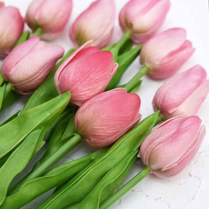 K&ouml;nnte beinhalten: Ein Strau&szlig; rosa Tulpen mit gr&uuml;nen Stielen und Bl&auml;ttern. Die Tulpen sind f&auml;cherf&ouml;rmig angeordnet, wobei die Spitzen der Bl&uuml;tenbl&auml;tter nach au&szlig;en zeigen.
