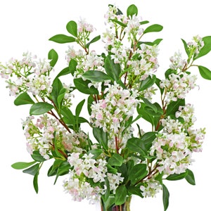 May include: A bouquet of white and pink flowers with green leaves. The flowers are arranged in a vase.
