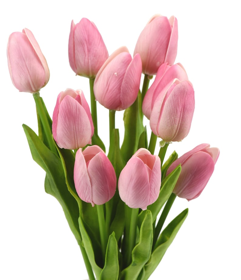 K&ouml;nnte beinhalten: Ein Strau&szlig; rosa Tulpen mit gr&uuml;nen Stielen und Bl&auml;ttern.