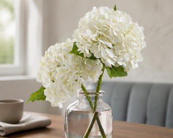 May include: Two white hydrangea flower stems with green leaves arranged in a clear, round glass vase. The stems are visible through the transparent glass, which is filled with water. The flower heads are full, rounded, and composed of many small petals.