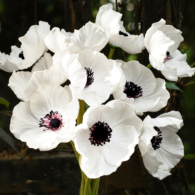May include: A bouquet of white anemones with dark centers. The flowers are arranged in a cluster and have delicate petals.