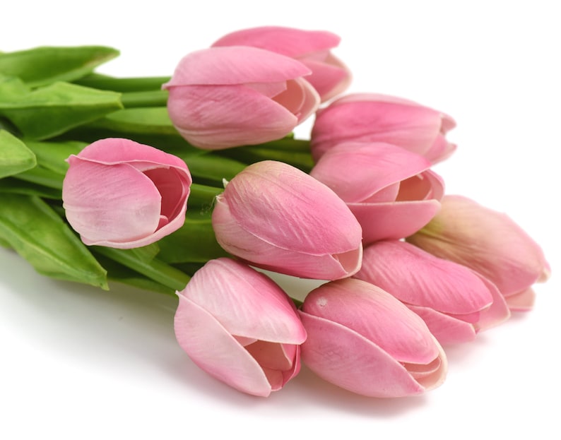 K&ouml;nnte beinhalten: Ein Strau&szlig; rosa Tulpen mit gr&uuml;nen Stielen. Die Tulpen sind in einer Gruppe angeordnet, wobei die Bl&uuml;ten nach au&szlig;en zeigen.