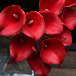 FiveSeasonStuff 10 Stelen Real Touch (Rood) Calla Lelies Kunstmatige Bloem Boeket, Bruiloft, Bruidsmode, Feest, Home Decor DIY