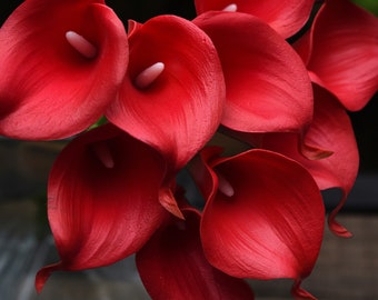FiveSeasonStuff 10 Stems Real Touch (Red) Calla Lilies Artificial Flower Bouquet, Wedding, Bridal, Party, Home Décor DIY