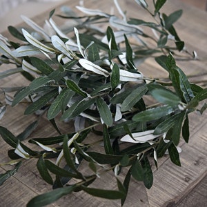 Lifelike Premium Olive Stems: Quality 30-inch Artificial Greenery for Floral Arrangements and Stylish Decor 6 Stems FiveSeasonStuff Floral image 3