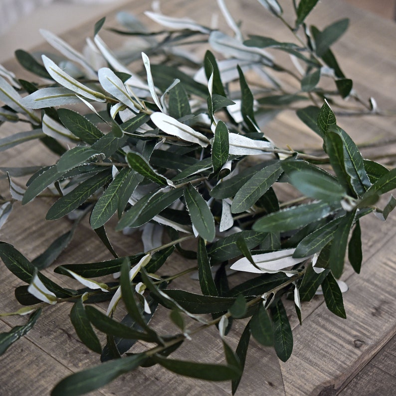 Lifelike Premium Olive Stems: Quality 30-inch Artificial Greenery for Floral Arrangements and Stylish Decor 6 Stems FiveSeasonStuff Floral image 3