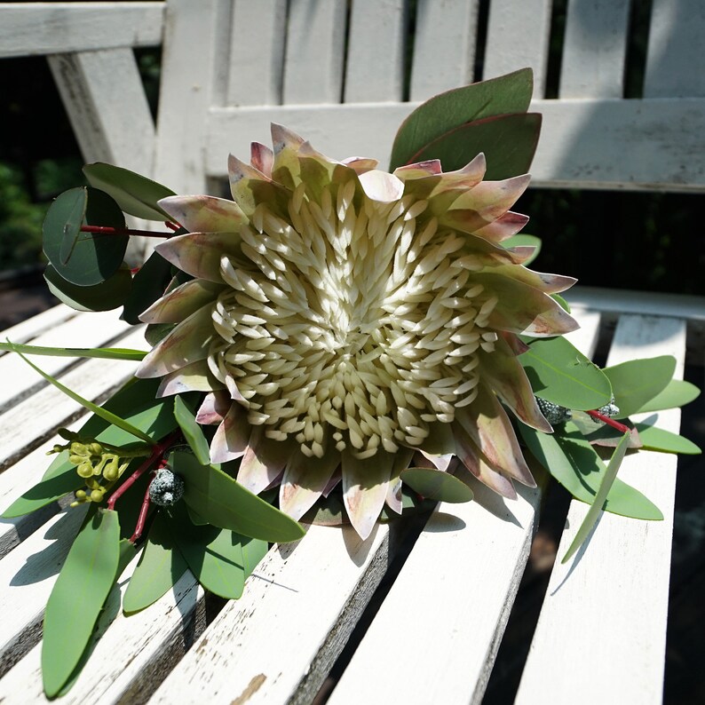 FiveSeasonStuff 1 Stem Floral White King Protea Silk Etsy