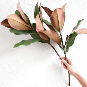 Op de afbeelding: Een tak van kunstmatige magnoliabladeren met groene en bruine bladeren. De bladeren hebben een gladde textuur en zijn gerangschikt in een natuurlijk patroon. De stengel is bruin en heeft een ruwe textuur. De bladeren worden door een hand vastgehouden.
