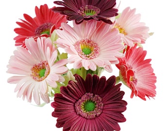 FiveSeasonStuff 7 Stems of Artificial Real Touch Gerbera Flowers & Bouquet, for Home Office Wedding Party Décor (Mixed Pink)