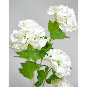 Summer White Snowball Viburnum Long Stem Real Touch Artificial Flowers 2 Stems