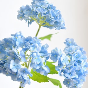 Pode incluir: Um cacho de flores de hortênsia artificiais com vários tons de pétalas azul-claras e médias. As flores estão dispostas em cabeças arredondadas em caules verdes com várias folhas verde-brilhantes presas às seções inferiores dos talos.
