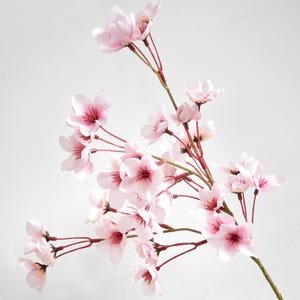 Lifelike Blush Pink Silk Cherry Blossom Stems, 1.3 ft image 9