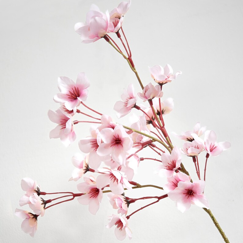Lifelike Blush Pink Silk Cherry Blossom Stems, 1.3 ft image 9