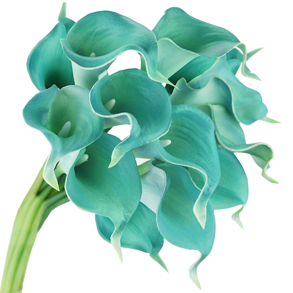 10 Aqua Blue Calla Lilies: Real Touch PU Stems for Vases
