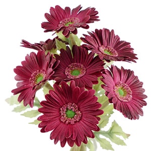 FiveSeasonStuff 7 Stems of Artificial Real Touch Gerbera Flowers & Bouquet, for Home Office Restaurant Wedding Party Décor(Red Velvet)