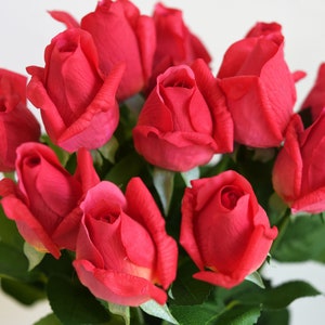 May include: A bouquet of red roses with green leaves. The roses are arranged in a cluster, with the buds facing outwards. The roses are a deep red color, and the leaves are a bright green.