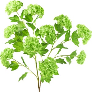 Kiwi Green Snowball Viburnum Long Stem Real Touch Artificial Flowers 2 Stems