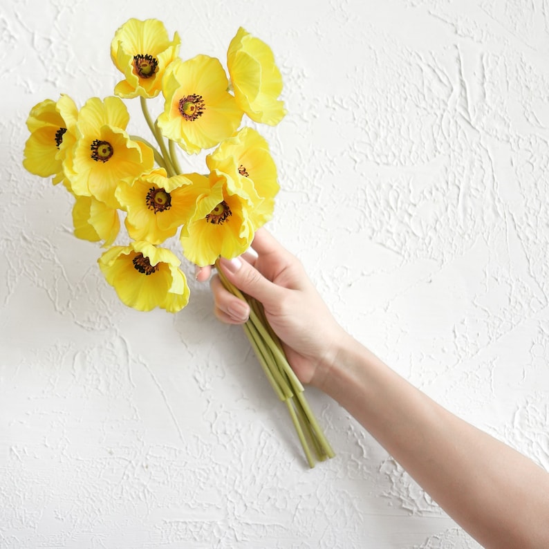 Puede incluir: Un ramo de flores de amapola amarillas sostenido en una mano sobre un fondo blanco texturizado.