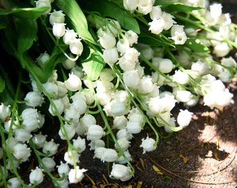 Lily Valley Bouquet  Etsy