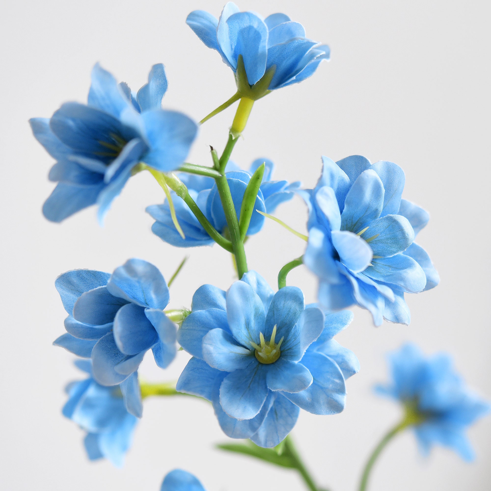 Light Blue Delphinium Bouquet