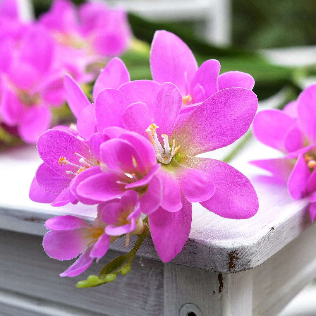 Fiori Artificiali Di Geranio In Seta (Rosa Scuro): Bellissimi, Realistici E Senza Manutenzione. Perfetti Per Decorare Casa, Ufficio, Matrimoni E Giardino. Aggiungi Un Tocco Di Colore Che Dura Per Sempre.